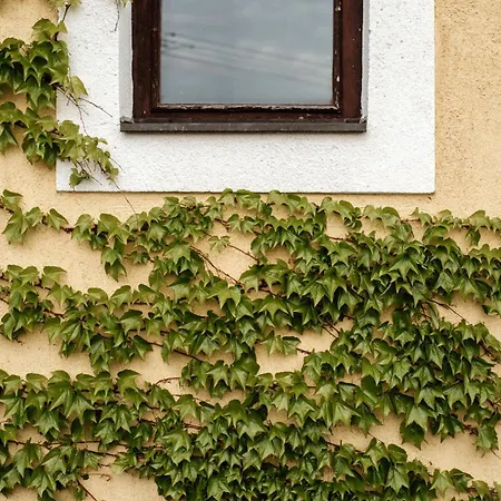 Voelgy-ucca Apartament *